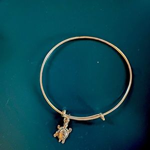 Alex and Ani Turtle Bracelet - silver (picture looks gold)